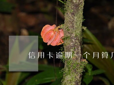 信用卡逾期一个月算几次 信用卡逾期一个月算几次