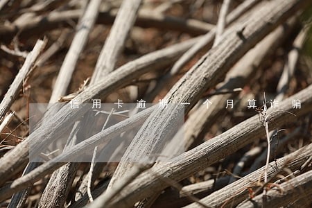 信用卡逾期一个月算诈骗吗