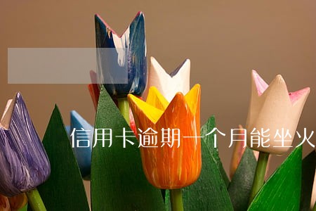 信用卡逾期一个月能坐火车吗 信用卡逾期一个月能坐火车吗