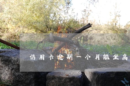 信用卡逾期一个月能坐高铁吗 信用卡逾期一个月能坐高铁吗