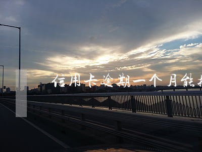 信用卡逾期一个月能接着用吗 信用卡逾期一个月能接着用吗