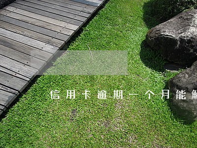 信用卡逾期一个月能解锁吗 信用卡逾期一个月能解锁吗