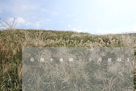 信用卡逾期一个月被扣300多 信用卡逾期一个月被扣300多