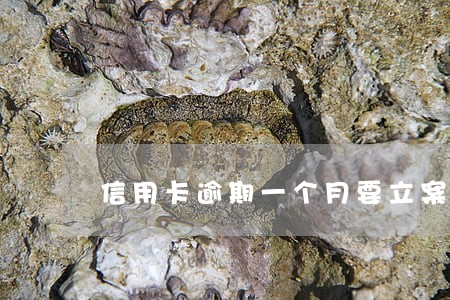 信用卡逾期一个月要立案