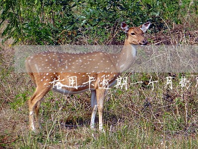 信用卡逾期一个月费用 信用卡逾期一个月费用