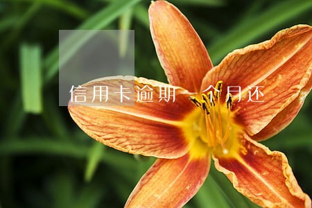 信用卡逾期一个月还 信用卡逾期一个月还