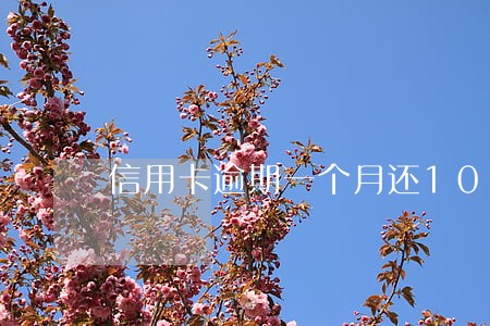 信用卡逾期一个月还10 信用卡逾期一个月还10