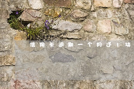信用卡逾期一个月还1块 信用卡逾期一个月还1块