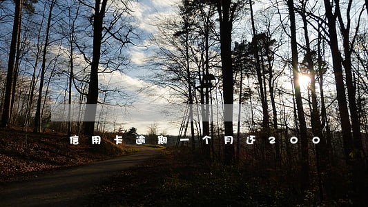 信用卡逾期一个月还200 信用卡逾期一个月还200