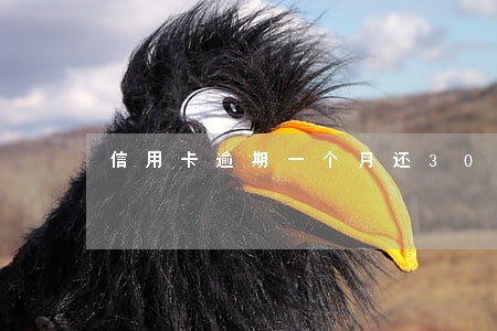 信用卡逾期一个月还30块 信用卡逾期一个月还30块