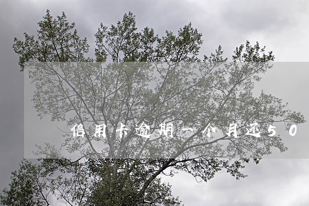 信用卡逾期一个月还500