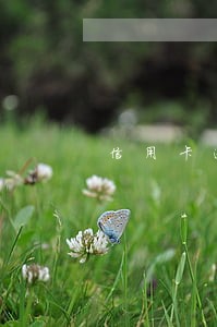 信用卡逾期一个月还一元可以吗