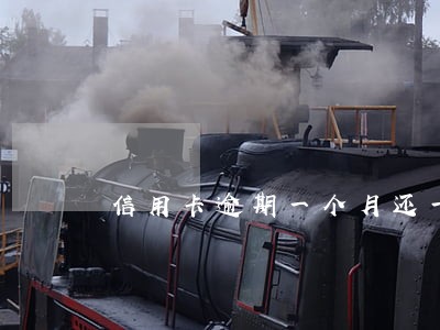 信用卡逾期一个月还一点有用吗
