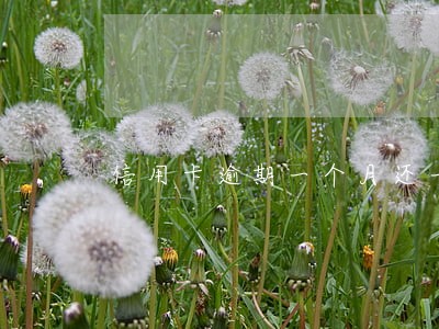 信用卡逾期一个月还一点点会怎样 信用卡逾期一个月还一点点会怎样