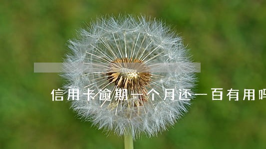 信用卡逾期一个月还一百有用吗