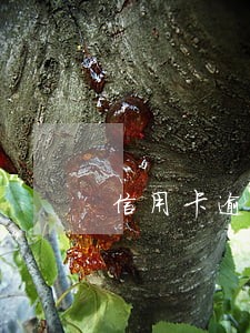 信用卡逾期一个月还不上征信吗 信用卡逾期一个月还不上征信吗