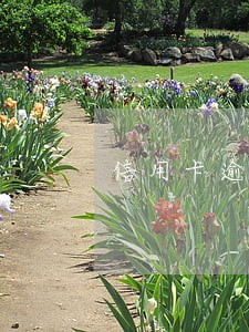 信用卡逾期一个月还不上怎么弄 信用卡逾期一个月还不上怎么弄