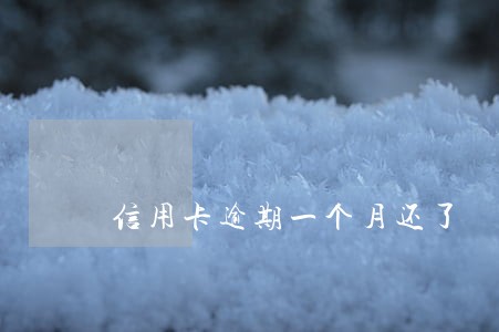 信用卡逾期一个月还了