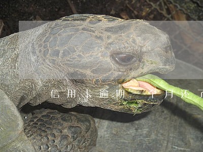 信用卡逾期一个月还了上征信