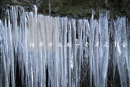 信用卡逾期一个月还了会冻结吗 信用卡逾期一个月还了会冻结吗
