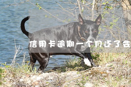 信用卡逾期一个月还了会封卡吗