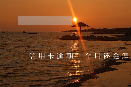 信用卡逾期一个月还会怎么样