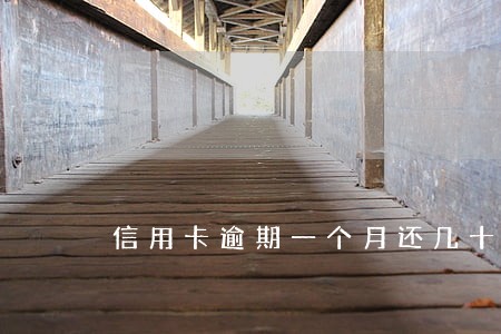 信用卡逾期一个月还几十块可以吗