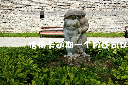 信用卡逾期一个月还可以消费吗 信用卡逾期一个月还可以消费吗