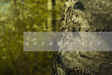 信用卡逾期一个月还吗 信用卡逾期一个月还吗