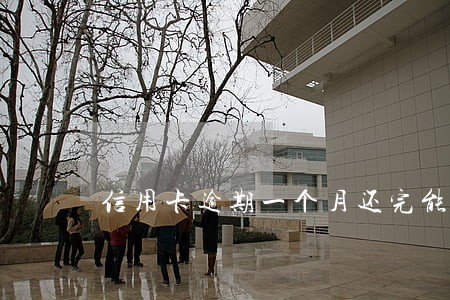 信用卡逾期一个月还完能贷出来吗 信用卡逾期一个月还完能贷出来吗