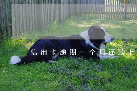 信用卡逾期一个月还款上征信吗 信用卡逾期一个月还款上征信吗