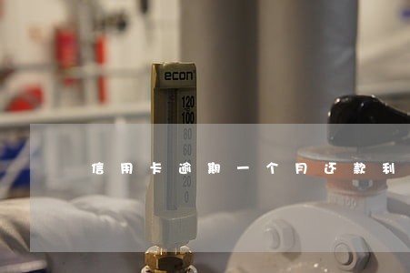 信用卡逾期一个月还款利息怎样 信用卡逾期一个月还款利息怎样