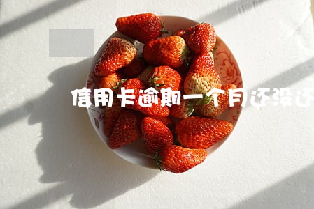 信用卡逾期一个月还没还完怎么办 信用卡逾期一个月还没还完怎么办