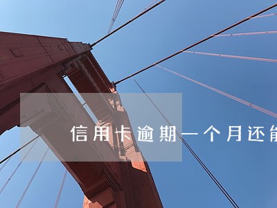 信用卡逾期一个月还能垫还吗