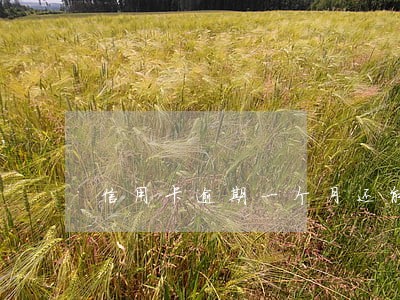 信用卡逾期一个月还能还吗 信用卡逾期一个月还能还吗