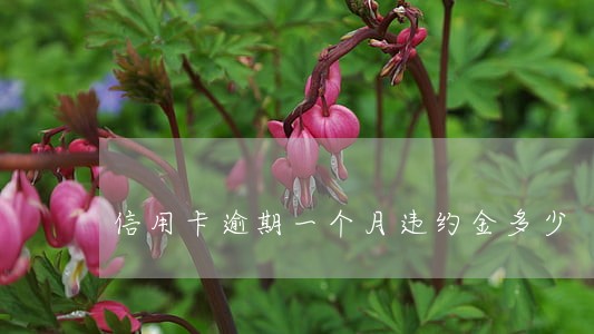 信用卡逾期一个月违约金多少