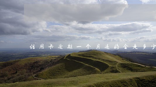 信用卡逾期一个月违约金是多少 信用卡逾期一个月违约金是多少