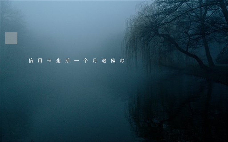 信用卡逾期一个月遭催款