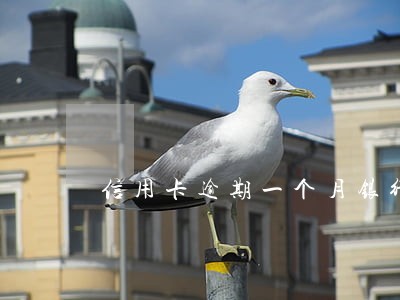 信用卡逾期一个月银行要停卡 信用卡逾期一个月银行要停卡