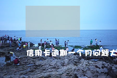 信用卡逾期一个月问题大么 信用卡逾期一个月问题大么