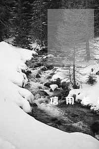 信用卡逾期一个月零一天