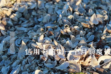信用卡逾期一个月额度被降0 信用卡逾期一个月额度被降0