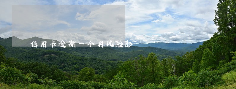 信用卡逾期一个月风险部