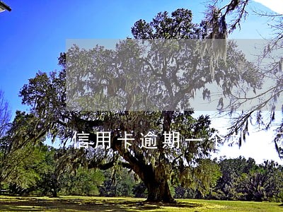 信用卡逾期一个礼拜了 信用卡逾期一个礼拜了