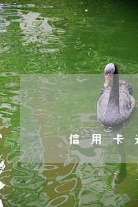 信用卡逾期一个礼拜会上征信 信用卡逾期一个礼拜会上征信
