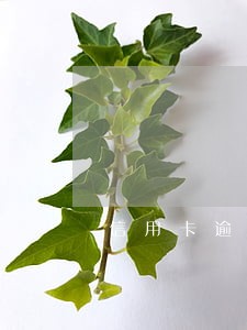 信用卡逾期一个礼拜有啥影响 信用卡逾期一个礼拜有啥影响