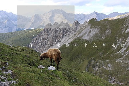 信用卡逾期一个礼拜还款 信用卡逾期一个礼拜还款