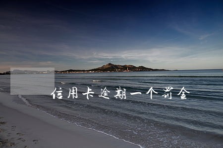 信用卡逾期一个罚金