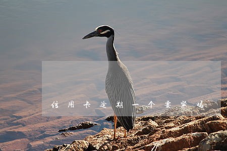 信用卡逾期一个要紧吗 信用卡逾期一个要紧吗