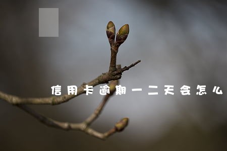 信用卡逾期一二天会怎么样 信用卡逾期一二天会怎么样
